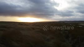 Sheep sheltering in sand Dunes as Storm Brendan hits