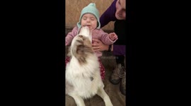 Toddler gets adorably surprised by kiss from her pet doggy