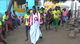 People turn out en masse to see traditional bull-taming contest in south India