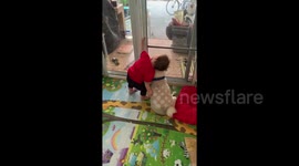 Adorable video shows toddler cuddles pet pooch