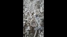 This is the victory of Assad and Russia over children A shelter for displaced people was targeted in the western countryside of #Aleppo.  A child was killed and another is lost. Imagine your child being killed ?! Does this suit you? What do you think?! #S