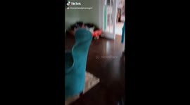 Woman predicts her own scare in hilarious singing video