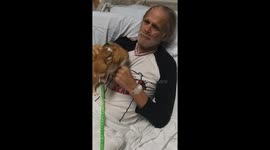 Dogs visits owner in hospital after four-weeks apart