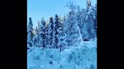 temp