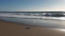 Winter waves on Cornish beach