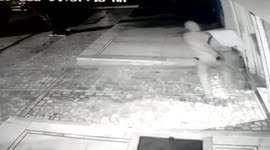 CCTV footage captures thieves stealing more than $20,000 of cigarette cartons in northwest India