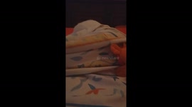 Undercover cat under wrap