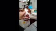 temp