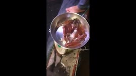 Unique 'dancing squid' caught in the central province of Vietnam