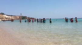 French Tourists Warms Up Some Water Exercise In Sharm El Sheikh