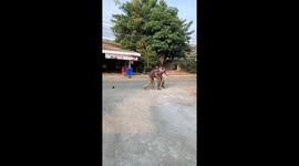 Two drunk old men have world's most pathetic fight as they struggle to punch each other