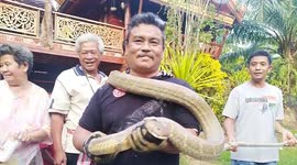 King cobra invades elderly couple's home in southern Thailand