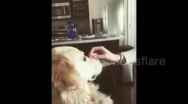 Newest segment of shark week