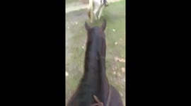 Relaxing ride on my 20 year old registered quarter horse pony, he's my best friend added music because it's fun