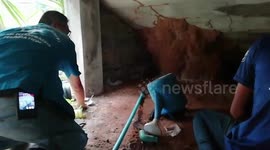 Three Pet Birds Sit Together On Perch