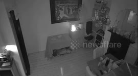 Strange flying light in my dining room