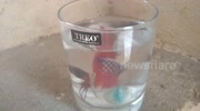 temp