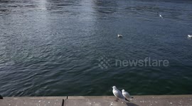 A view of Rhine River in Basel, Switzerland