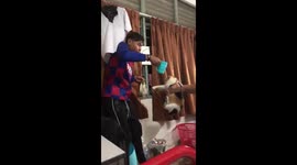 Cruel pranksters FREAK out their roommate who is terrified of cats in Malaysia