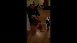 Cats needs some patience