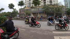 Chợ hoa tết Đền Lừ (Chợ đầu mối phía nam) tết Canh Tý 2020 P1