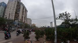 Chợ hoa tết Đền Lừ (Chợ đầu mối phía nam) tết Canh Tý 2020 P2