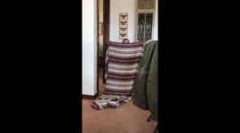 Naveah's Disappearing Trick