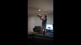 Husband helping the cat catch flies