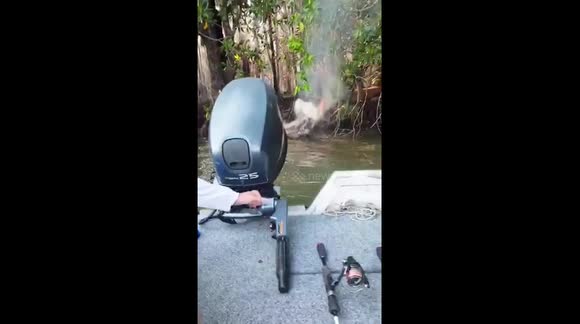 All means are good for putting out forest fires, even with my little beasts