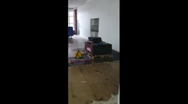 Never scare a sparky