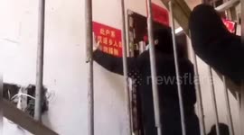 Police lock family that visited Wuhan in their flat using steel pipes amid coronavirus outbreak