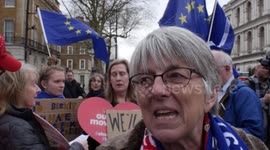 Labour MEP Julie Ward calls Brexit 'historic mistake' as she joins small crowd of Remainers in Westminster
