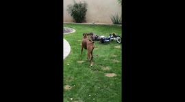 Boy falls of his ‘motorbike’