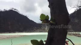 Video of trees growing at Indonesia's White Crater sulphur lake after fire