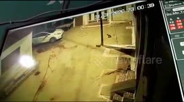 Every cat owner's nightmare as car has near miss reversing over kitten in north India