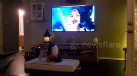 Adorable little Texas girl with her own interpretation of Super Bowl halftime show