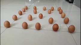 Man balances 21 eggs upright on kitchen floor in folk tradition