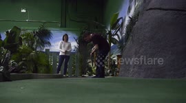 UK couple have visited 945 mini-golf courses across the world