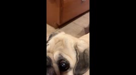 Thank you to everyone who donates to Harry