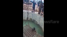 Rescuers struggle to pull out endangered fishing cat from water tank in east India