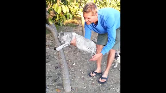 This cat is absolutely determined not to let go off a tree in Spain