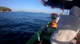 Triggerfish | First person view fishing at open sea