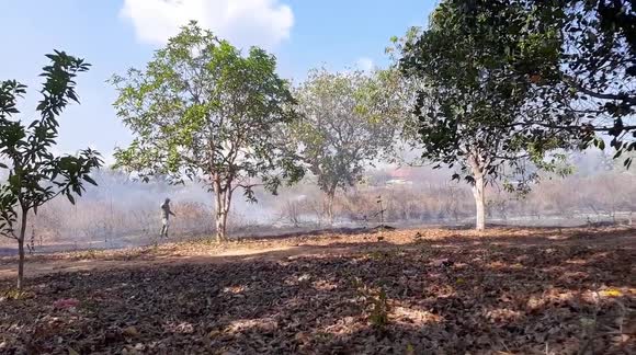 Bush Fire in Saumlaki Tanimbar, Maluku, Indonesia