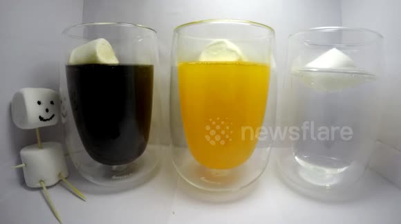 Latvian man documents what happens when you leave marshmallows in fizzy drinks overnight