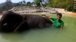 Elephant ride fail