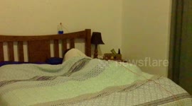 Kids build Rube Goldberg machine which tips water on their sleeping father