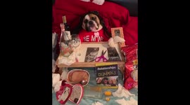 How men and women handle being alone on Valentines Day.