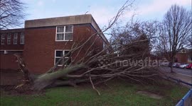 Tree uprooted and leisure centre roof damaged in Kent, UK