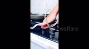temp