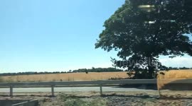 Driving past a beautiful field